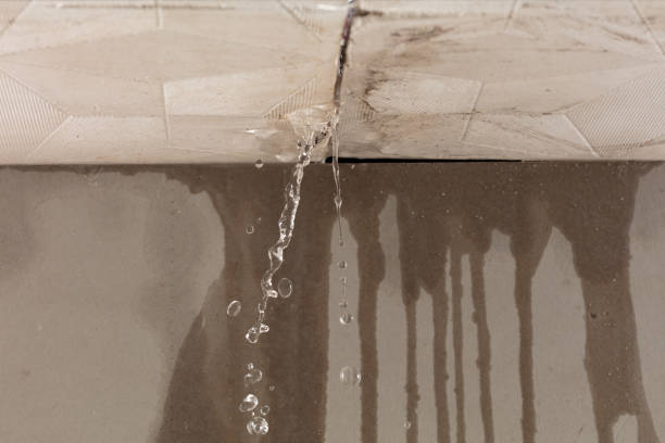 Professional Water Extraction technician working in Vassar, MI